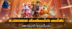 BLUEKONG99 สล็อตที่แตกทั้งวัน แตกทั้งคืน แตกจนเจ้าของเว็บจน